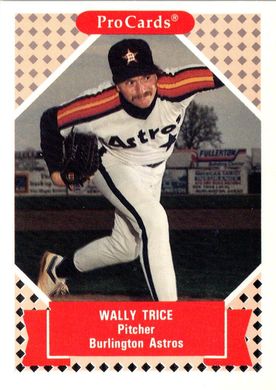 1991 ProCards Wally Trice #232