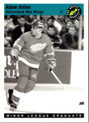 1993 Classic Pro Prospects Adam Oates