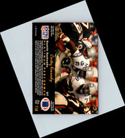 1991 Pro Set Platinum Cortez Kennedy #114