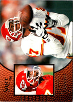 1996 Pinnacle Tamarick Vanover #9