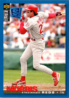 1995 Collector's Choice SE Silver Signature Hal Morris #201