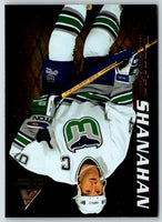 1973 ProSet Detroit Red Wings #13