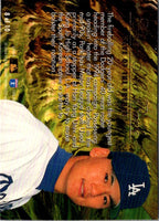 1994 Fleer ProCards Vero Beach Dodgers Checklist #91