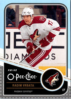 2011 O-Pee-Chee Radim Vrbata #313