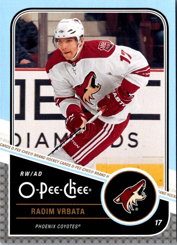 2011 O-Pee-Chee Radim Vrbata #313