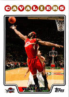 2008 Topps Ben Wallace #133