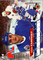 1993 Ultra Valeri Kamensky #84