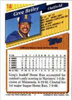 1993 Topps Gold Greg Briley #14