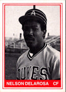 1982 TCMA Alexandria Dukes Nelson Delarosa