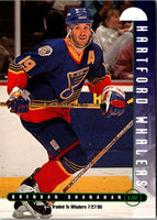 1995 Leaf Brendan Shanahan #121
