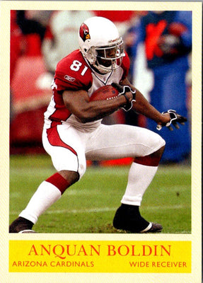 2010 Upper Deck Anquan Boldin #6