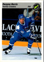 1993 Classic Pro Prospects Dwayne Norris #66