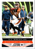 2013 Score A.J. Green #41