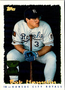 1995 Topps Bob Hamelin