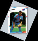 1988 Fleer Bryn Smith