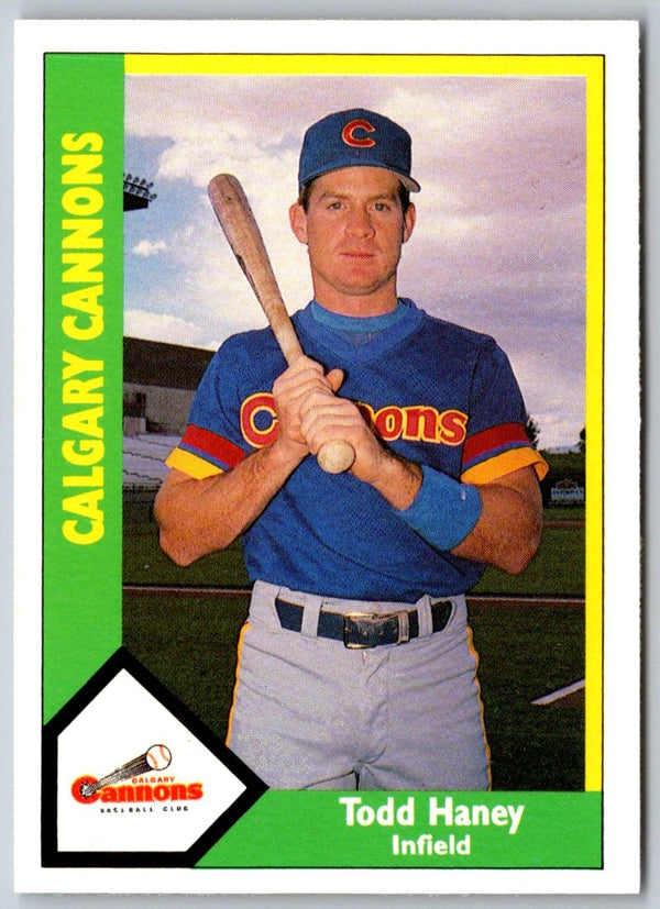 1990 CMC Calgary Cannons Todd Haney #18