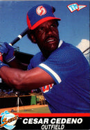 1989 T&M Senior League Cesar Cedeno