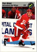 1993 Classic Pro Prospects Petr Hrbek