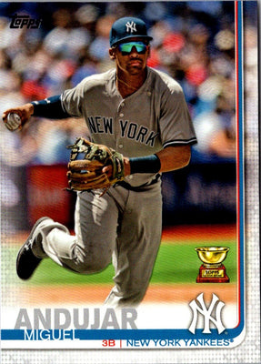 2019 Topps New York Yankees Miguel Andujar #NY-6