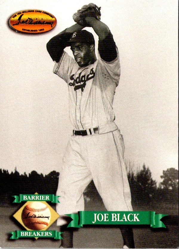 1993 Ted Williams Joe Black #132