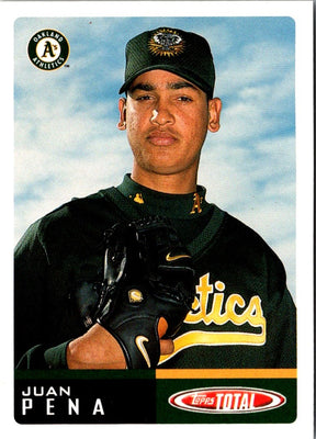 2002 Topps Total Juan Pena #370