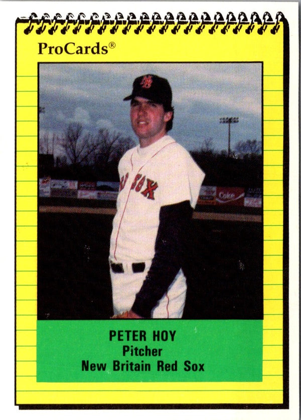 1991 ProCards Peter Hoy #349