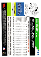 2006 Topps Raul Ibanez #377