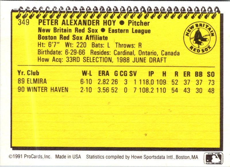 1991 ProCards Peter Hoy