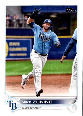 2022 Topps Mike Zunino #324