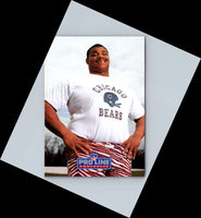 1991 Pro Line Portraits William Perry #192