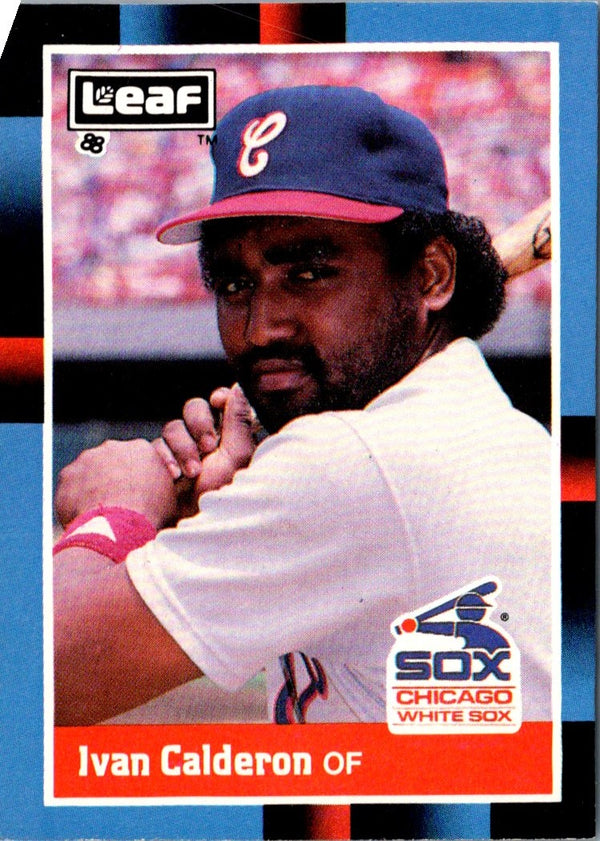 1988 Leaf Ivan Calderon #175