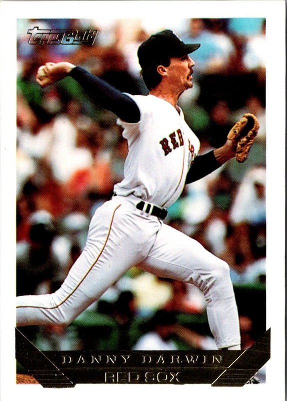 1993 Topps Gold Danny Darwin #214