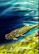 2011 Topps Allen & Ginter Ascent of Man Placoderms