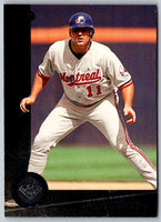 1996 Leaf Shane Andrews #178